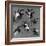 Six Studies of Goat Heads-Nicolaes Pietersz. Berchem-Framed Giclee Print