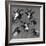 Six Studies of Goat Heads-Nicolaes Pietersz. Berchem-Framed Giclee Print