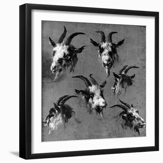 Six Studies of Goat Heads-Nicolaes Pietersz. Berchem-Framed Giclee Print