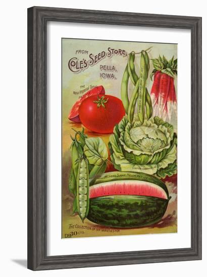 Six Varieties from Cole's Seed Store, Pella, Iowa-null-Framed Art Print