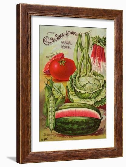 Six Varieties from Cole's Seed Store, Pella, Iowa-null-Framed Art Print