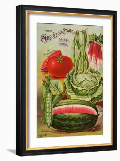 Six Varieties from Cole's Seed Store, Pella, Iowa-null-Framed Art Print