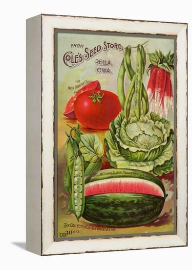 Six Varieties from Cole's Seed Store, Pella, Iowa-null-Framed Stretched Canvas