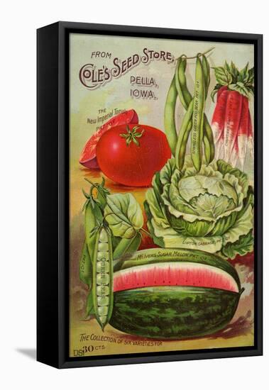 Six Varieties from Cole's Seed Store, Pella, Iowa-null-Framed Stretched Canvas