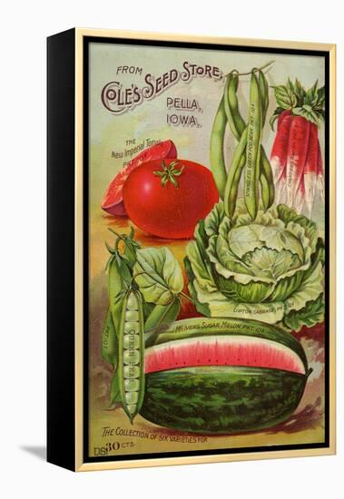 Six Varieties from Cole's Seed Store, Pella, Iowa-null-Framed Stretched Canvas