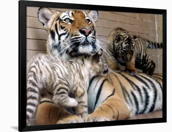 Photographic Print, , large