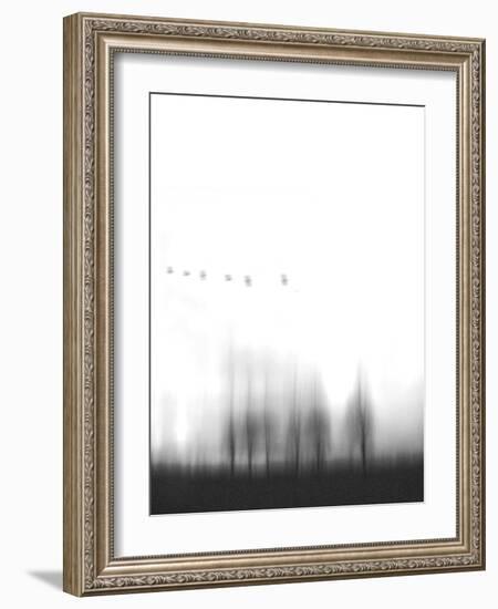 Six-Peter Polter-Framed Photographic Print