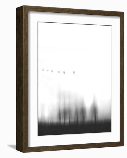 Six-Peter Polter-Framed Photographic Print