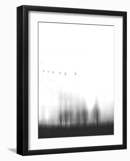 Six-Peter Polter-Framed Photographic Print