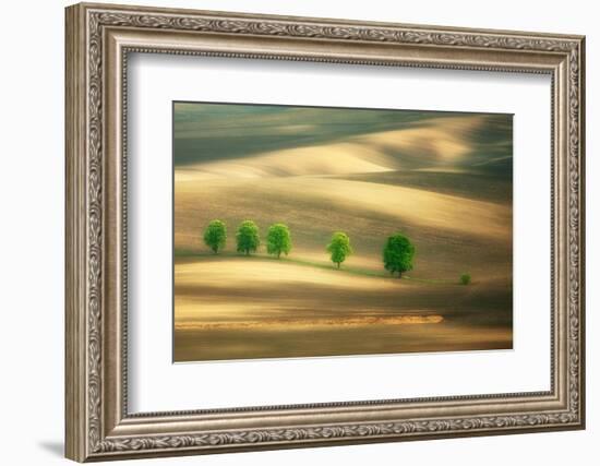 Six-Marcin Sobas-Framed Photographic Print