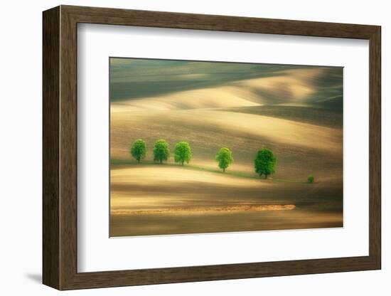 Six-Marcin Sobas-Framed Photographic Print