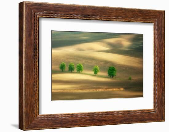 Six-Marcin Sobas-Framed Photographic Print