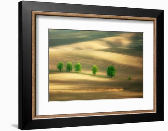 Six-Marcin Sobas-Framed Photographic Print