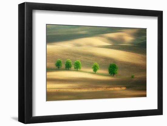 Six-Marcin Sobas-Framed Photographic Print