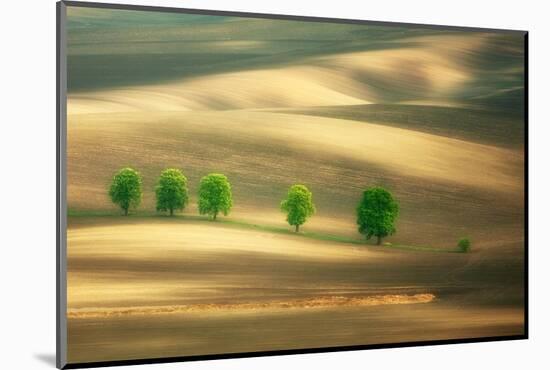 Six-Marcin Sobas-Mounted Photographic Print