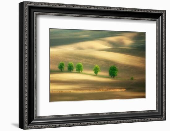 Six-Marcin Sobas-Framed Photographic Print