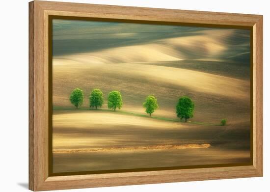 Six-Marcin Sobas-Framed Premier Image Canvas