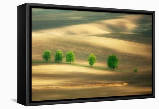 Six-Marcin Sobas-Framed Premier Image Canvas