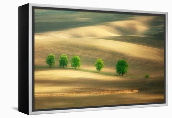 Six-Marcin Sobas-Framed Premier Image Canvas