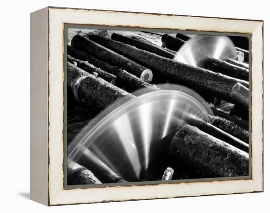 Sixteen-Foot Logs Being Cut in Slasher Mill in Preparation for Next Stage at Paper Mill-Margaret Bourke-White-Framed Premier Image Canvas