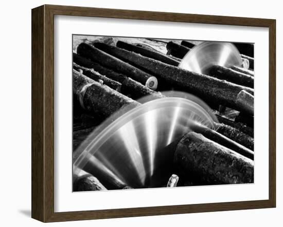 Sixteen-Foot Logs Being Cut in Slasher Mill in Preparation for Next Stage at Paper Mill-Margaret Bourke-White-Framed Premium Photographic Print