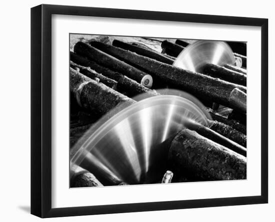 Sixteen-Foot Logs Being Cut in Slasher Mill in Preparation for Next Stage at Paper Mill-Margaret Bourke-White-Framed Premium Photographic Print