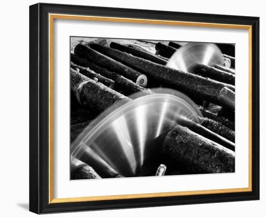 Sixteen-Foot Logs Being Cut in Slasher Mill in Preparation for Next Stage at Paper Mill-Margaret Bourke-White-Framed Premium Photographic Print