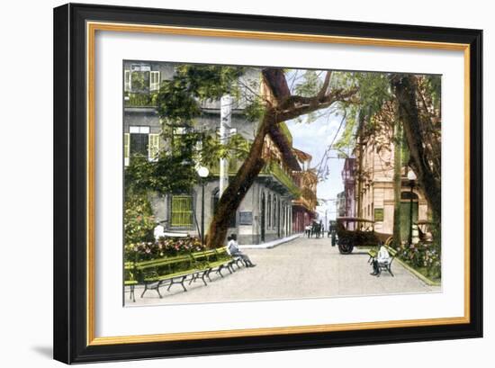 Sixth Street, Panama City, C1900s-null-Framed Giclee Print