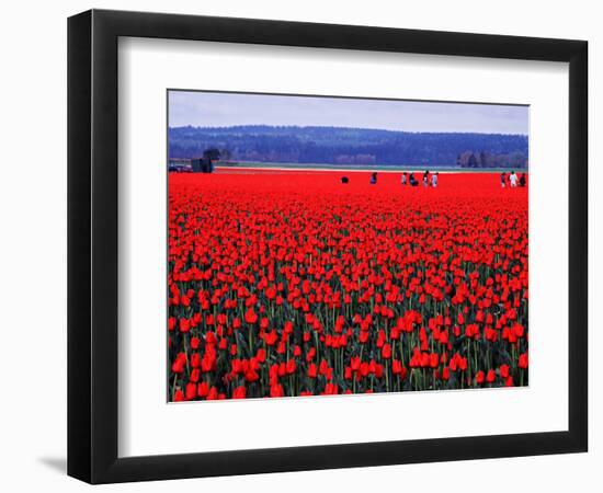 Skagit Valley of Washington, USA-Charles Sleicher-Framed Photographic Print