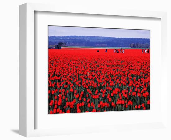 Skagit Valley of Washington, USA-Charles Sleicher-Framed Photographic Print