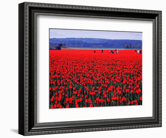 Skagit Valley of Washington, USA-Charles Sleicher-Framed Photographic Print