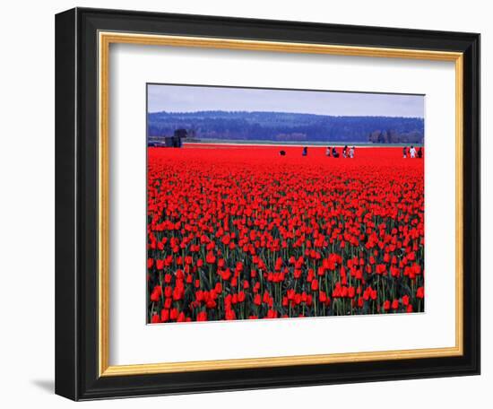 Skagit Valley of Washington, USA-Charles Sleicher-Framed Photographic Print