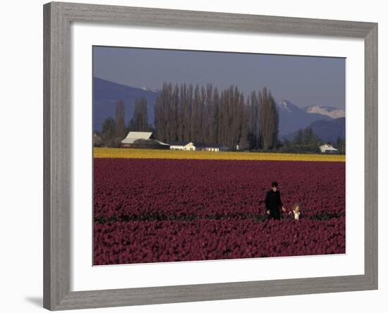 Skagit Valley Tulip Festival in April, Washington, USA-Connie Ricca-Framed Photographic Print