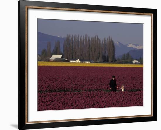 Skagit Valley Tulip Festival in April, Washington, USA-Connie Ricca-Framed Photographic Print