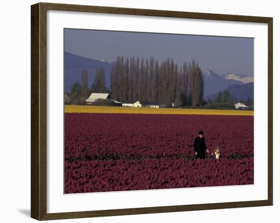 Skagit Valley Tulip Festival in April, Washington, USA-Connie Ricca-Framed Photographic Print