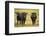 Skagit Valley, Washington State. Cows in the Rain-Matt Freedman-Framed Photographic Print