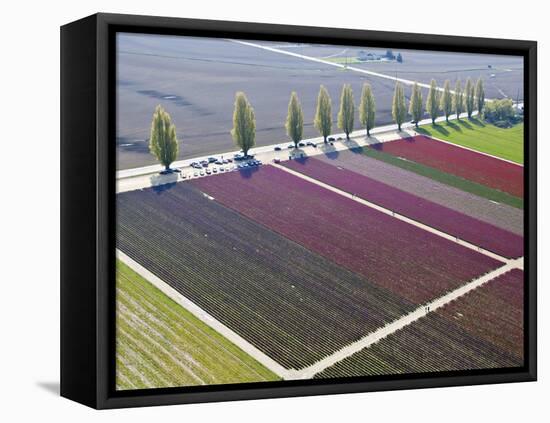 Skagit Valley, Washington, Usa-Charles Sleicher-Framed Premier Image Canvas