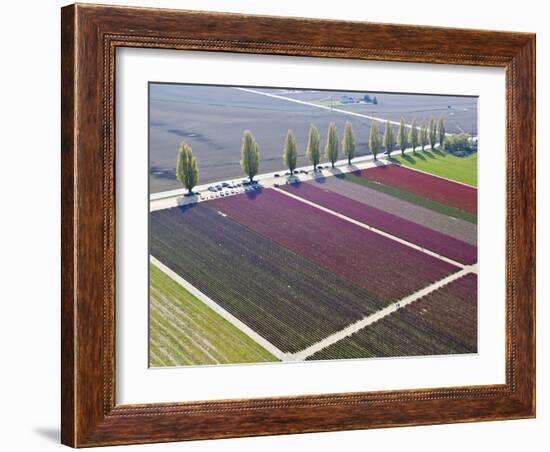 Skagit Valley, Washington, Usa-Charles Sleicher-Framed Photographic Print