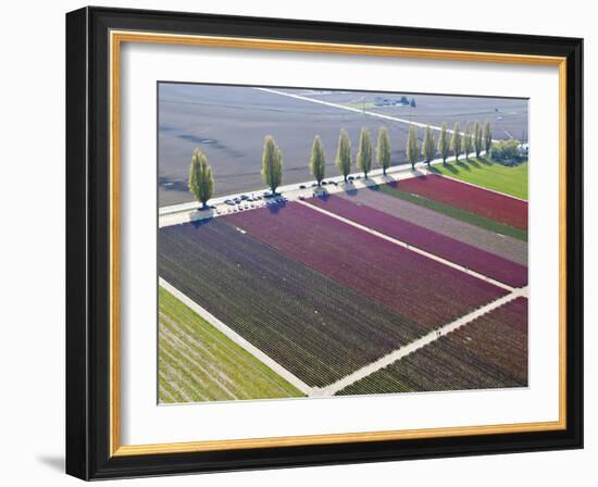 Skagit Valley, Washington, Usa-Charles Sleicher-Framed Photographic Print