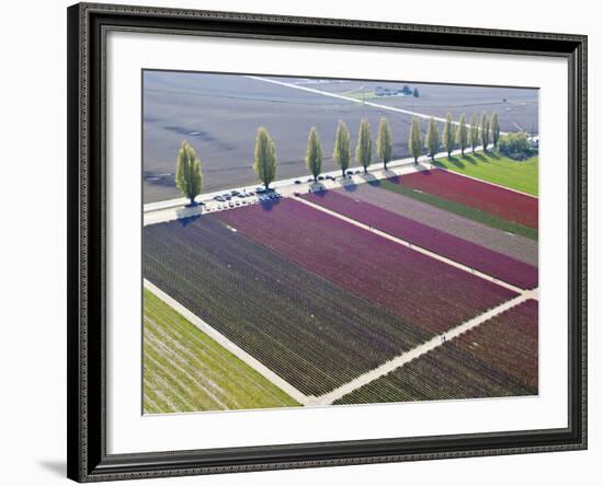 Skagit Valley, Washington, Usa-Charles Sleicher-Framed Photographic Print