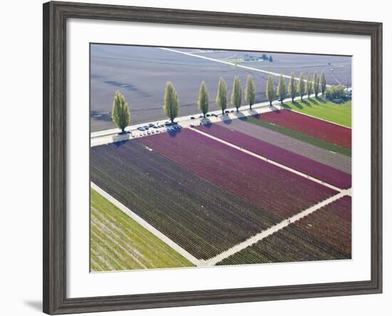 Skagit Valley, Washington, Usa-Charles Sleicher-Framed Photographic Print