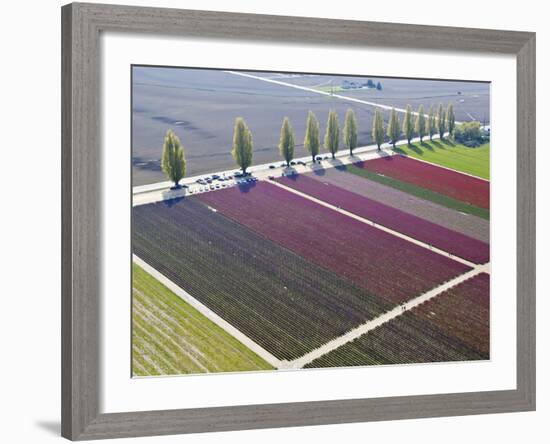 Skagit Valley, Washington, Usa-Charles Sleicher-Framed Photographic Print