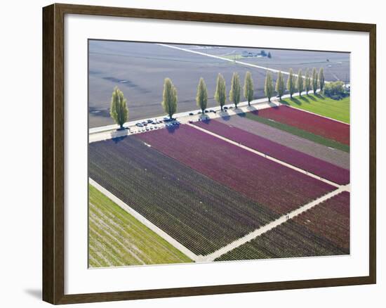 Skagit Valley, Washington, Usa-Charles Sleicher-Framed Photographic Print