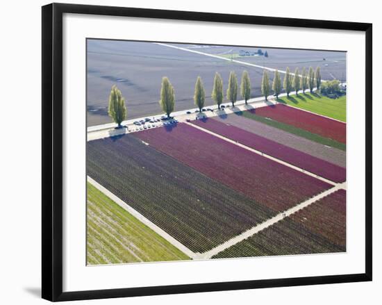 Skagit Valley, Washington, Usa-Charles Sleicher-Framed Photographic Print