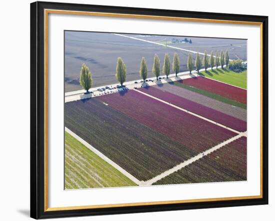 Skagit Valley, Washington, Usa-Charles Sleicher-Framed Photographic Print