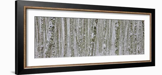 Skagit Valley-Art Wolfe-Framed Photographic Print