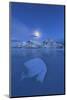 Skagsanden Beach, Lofoten Islands-ClickAlps-Mounted Photographic Print