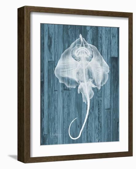 Skate Wood L86-Albert Koetsier-Framed Art Print