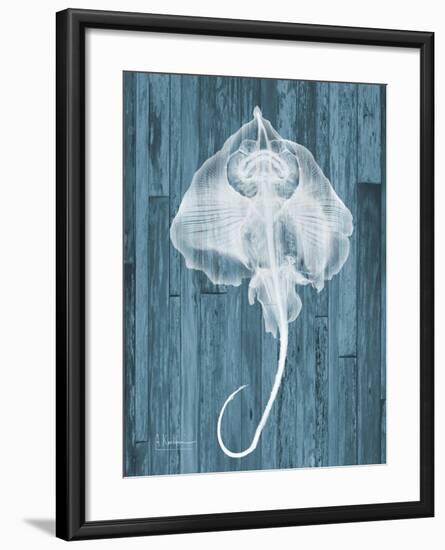 Skate Wood L86-Albert Koetsier-Framed Premium Giclee Print