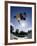 Skateboarder in Action on the Vert-null-Framed Photographic Print